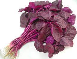 Organic Red Spinach