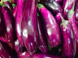 Organic Purple Brinjal