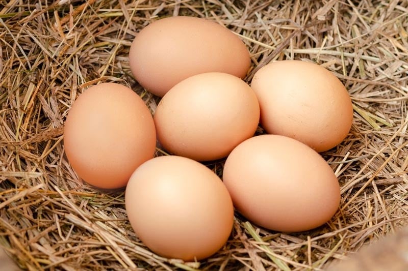 Country (Desi) Eggs - Small